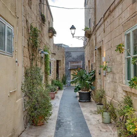 Alley - New 1br With Private Yard By Sf Homes شقة Gudja